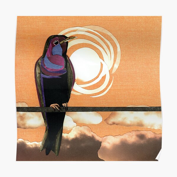 Purple Martin Poster