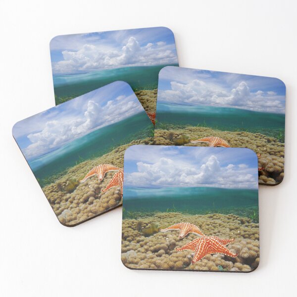 Item preview, Over-under water starfish on coral and sky designed and sold by Seaphotoart.