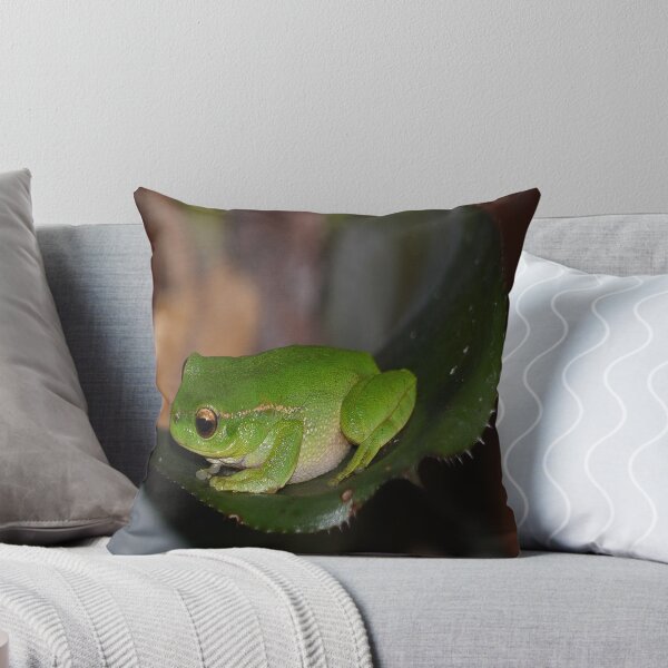 Item preview, The Australian Green Tree Frog   designed and sold by RGKphotos.