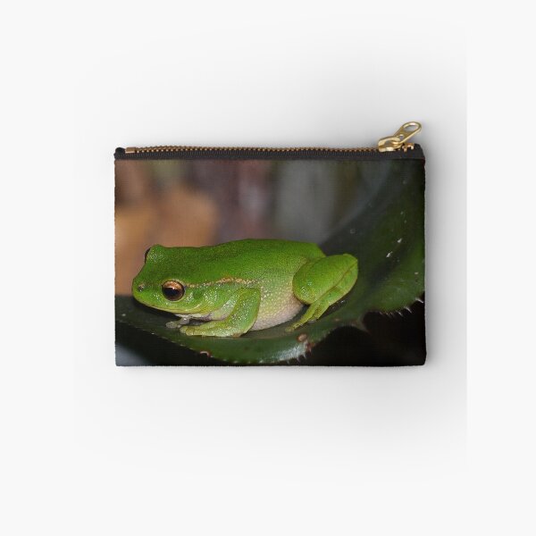 Item preview, The Australian Green Tree Frog   designed and sold by RGKphotos.