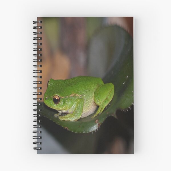 Item preview, The Australian Green Tree Frog   designed and sold by RGKphotos.