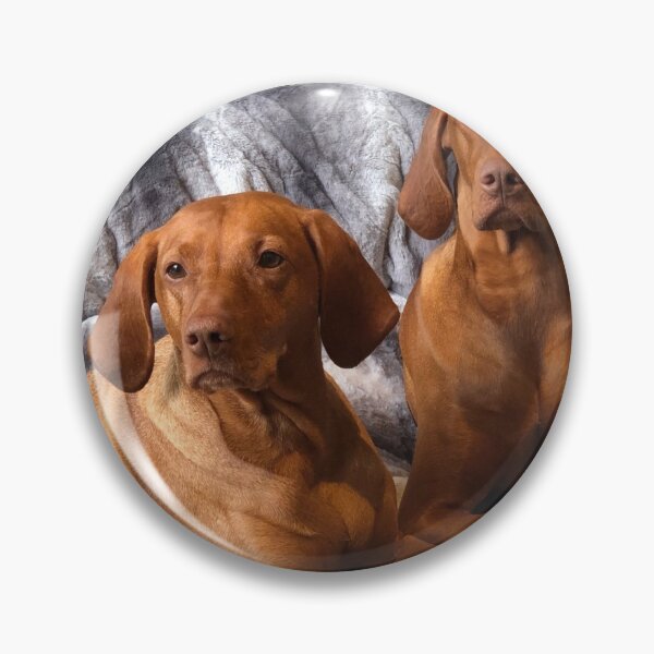 Item preview, Perfectly Pampered Vizslas designed and sold by Charley-Photo.