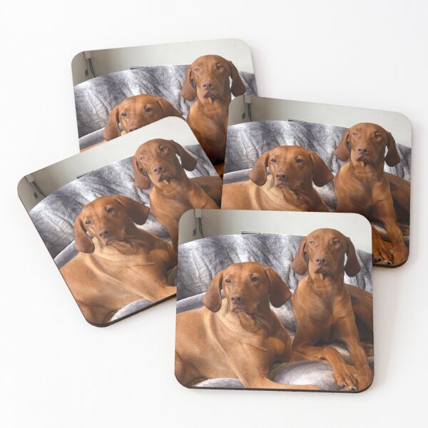 Item preview, Perfectly Pampered Vizslas designed and sold by Charley-Photo.