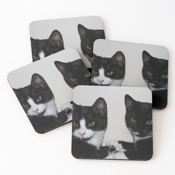 Item preview, Black and White Beauties designed and sold by Charley-Photo.