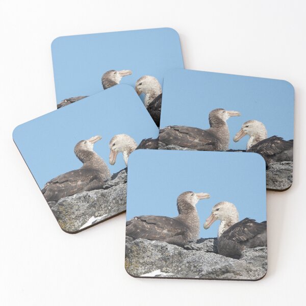 Item preview, Southern Giant Petrels ~ A rocky nest  designed and sold by Robert Elliott.