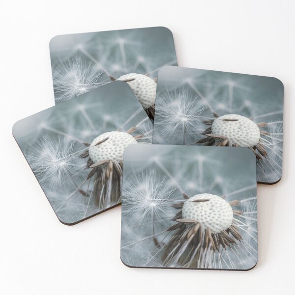Item preview, Dried dandelion macro with dandelion tufts falling. Cold blue and gray tones designed and sold by macroviewpoint.