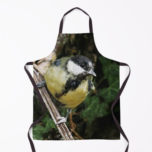 Item preview, r1442/ new finition 2021 Mésange charbonniére  -  4 t (c)(h) by Olao-Olavia / Okaio Créations designed and sold by o.okaïo.