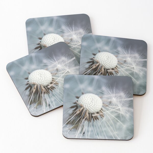 Item preview, Dried dandelion macro with dandelion tufts falling. Cold blue and gray tones designed and sold by macroviewpoint.