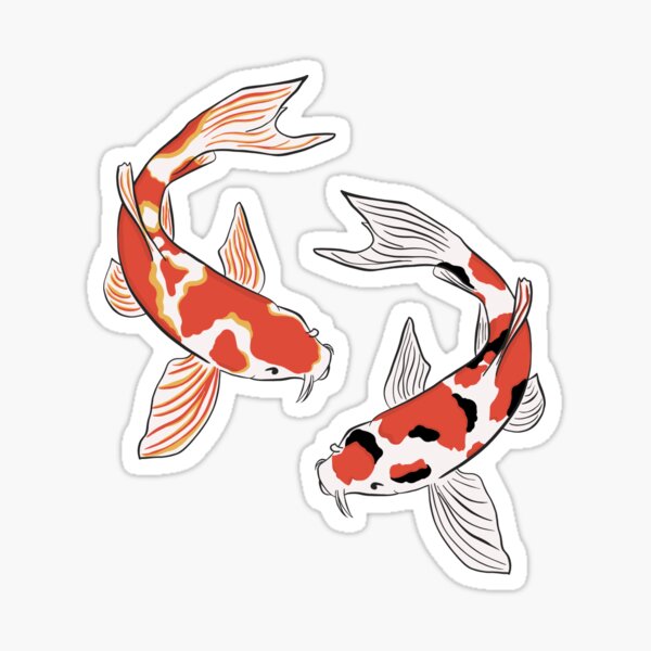 Koi Fish Vinyl Sticker Cute Underwater Sticker Cute Fish Sticker