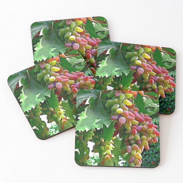 Item preview, Beautiful grape fruits. designed and sold by Lan thi Nguyen.