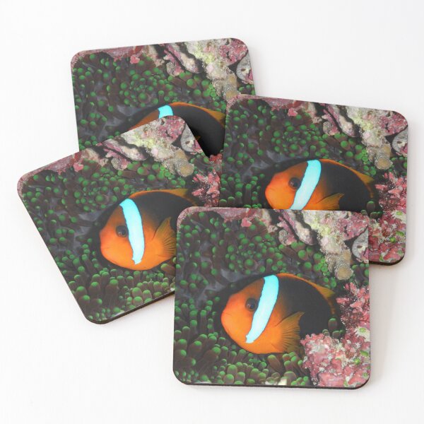 Item preview, Clown Fish designed and sold by slonchak.