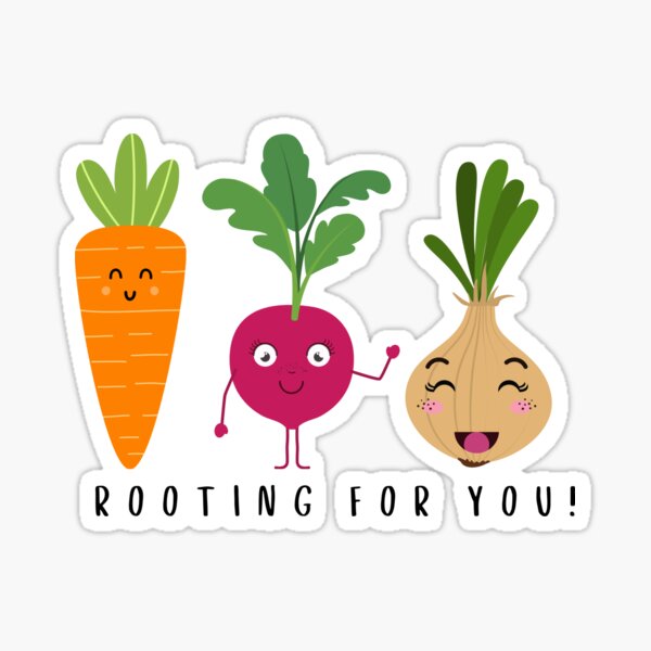 24 x 40mm Round 'Turnip' Stickers SK00017814 
