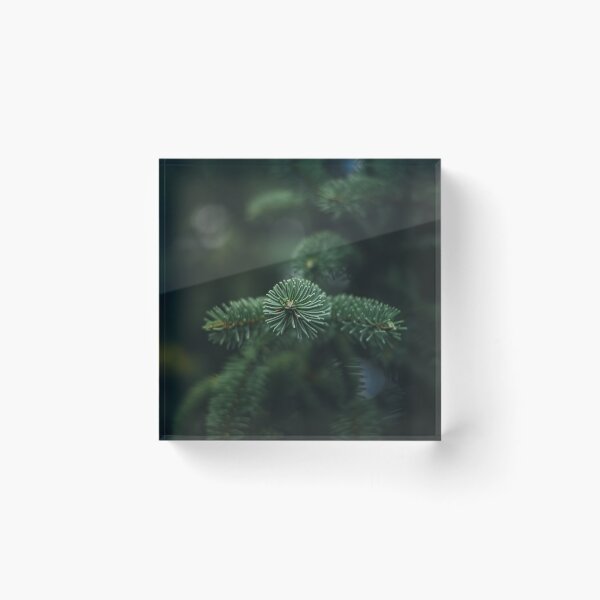 Item preview, Close-up of green spruce branch. Full green frame with bokeh in the background., Shallow depth of field designed and sold by macroviewpoint.