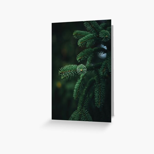 Close-up of green spruce branch. Full green frame with bokeh in the background., Shallow depth of field Greeting Card
