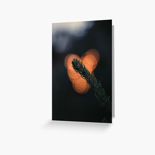 Dark macro of spruce branch with needles and orange bokeh bubbles ion the background Greeting Card