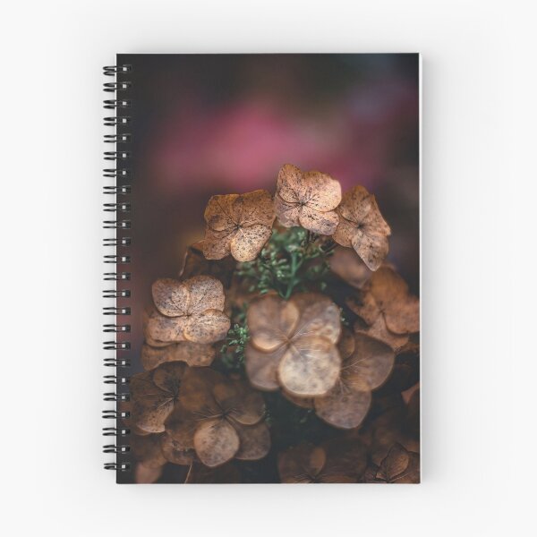 Item preview, Macro of dried hydrangea flowers with soft blurred background and pink tones in the background designed and sold by macroviewpoint.