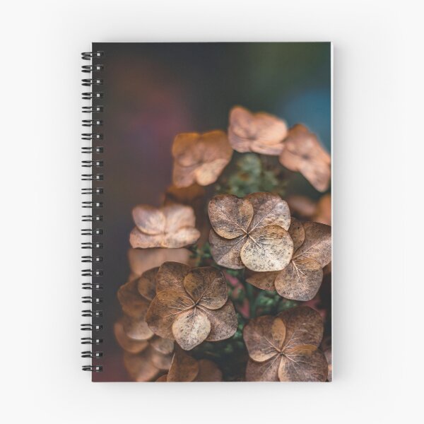 Item preview, Macro of dried hydrangea flowers with soft blurred background and pink tones in the background designed and sold by macroviewpoint.