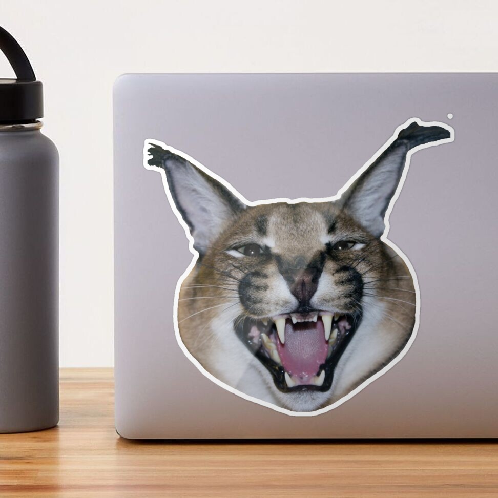 Big Floppa Meme Flop Off Flop On Cute Caracal Cat PopSockets Swappable  PopGrip