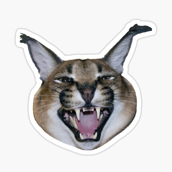 Big floppa PNG - caracal meme post - Imgur