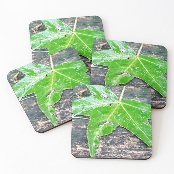 Item preview, Green Maple Leaf designed and sold by EducateUplift.