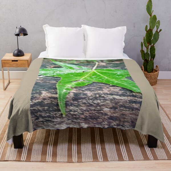 Item preview, Green Maple Leaf designed and sold by EducateUplift.