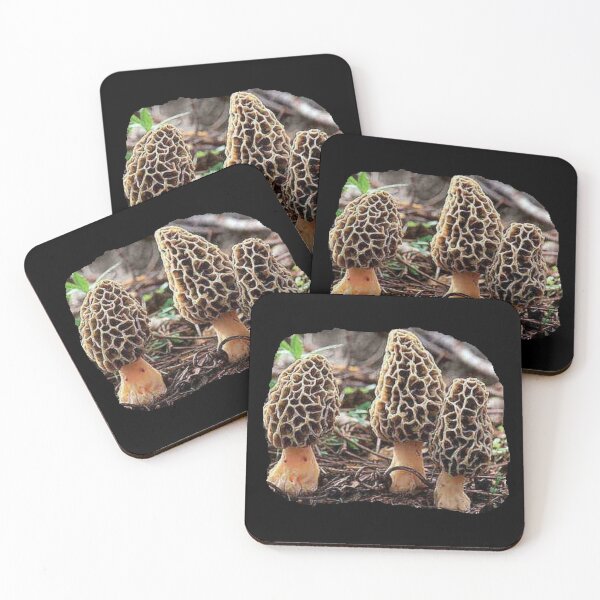 Item preview, MOREL MUSHROOMS designed and sold by THE AMERICAN TEEVANGELIST.