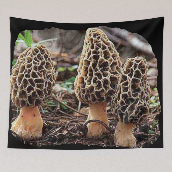 Item preview, MOREL MUSHROOMS designed and sold by THE AMERICAN TEEVANGELIST.
