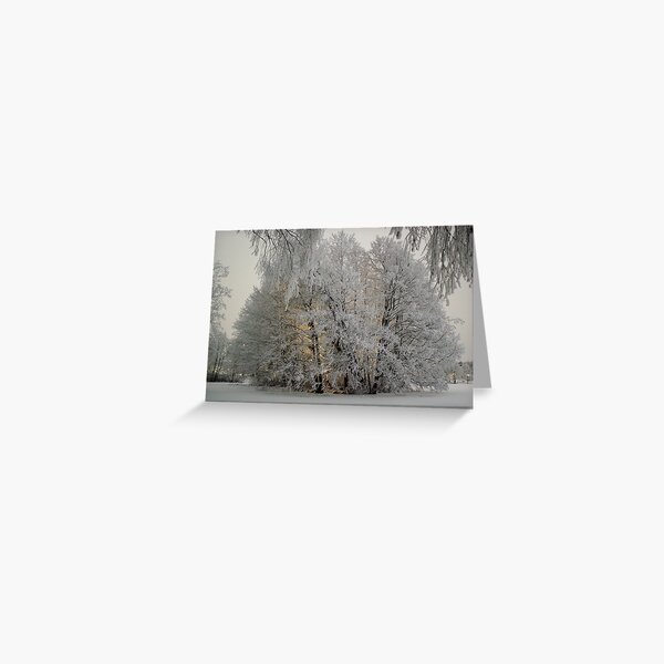 Winter island Greeting Card