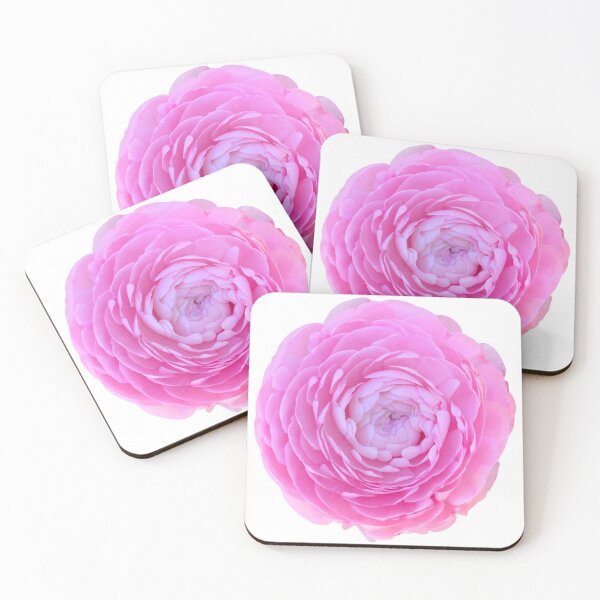 Item preview, Pink Rose Flower Still Life Floral Photography designed and sold by CottoVerdi.