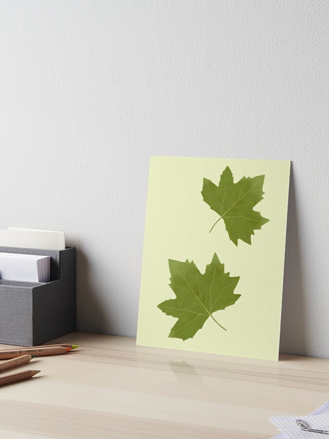 Maple Leaf Stencil - Chalky & Company
