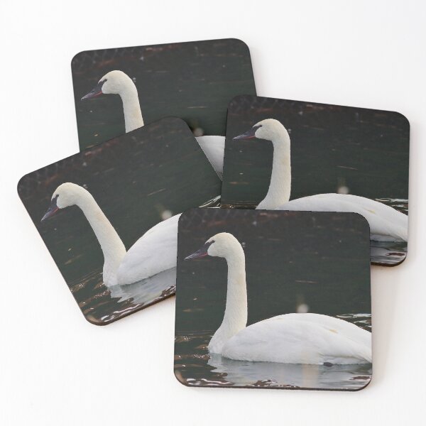 Item preview, Trumpeter Swan on Lake designed and sold by KMDavidPhoto.