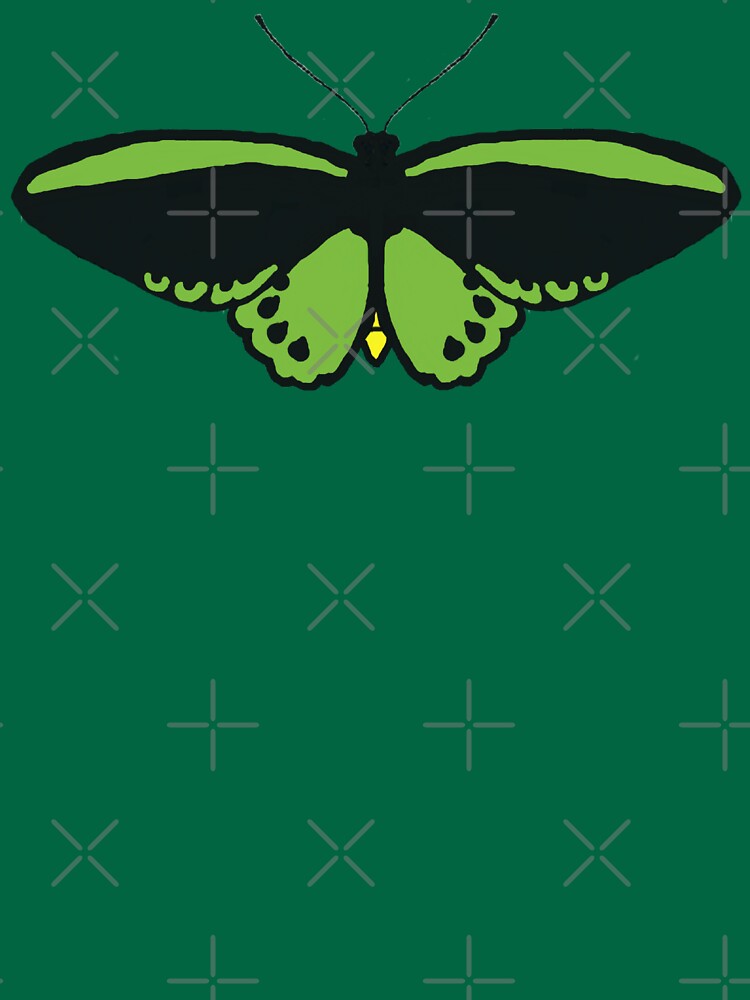 Richmond Birdwing Butterfly by Birdwings1