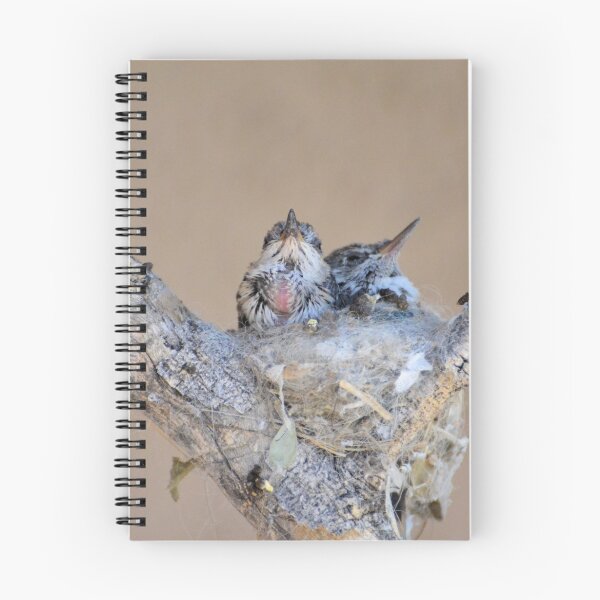 Item preview, Baby Hummingbirds designed and sold by Kathleen Brant.