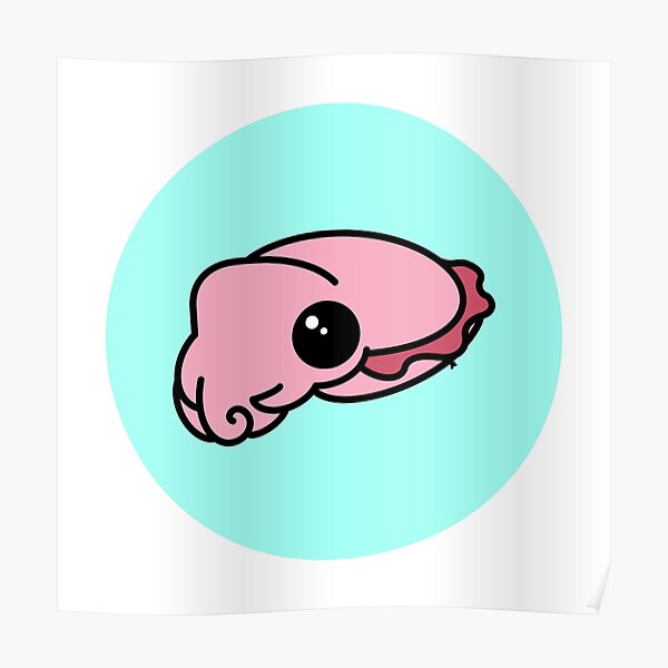 Cuttlefish Poster