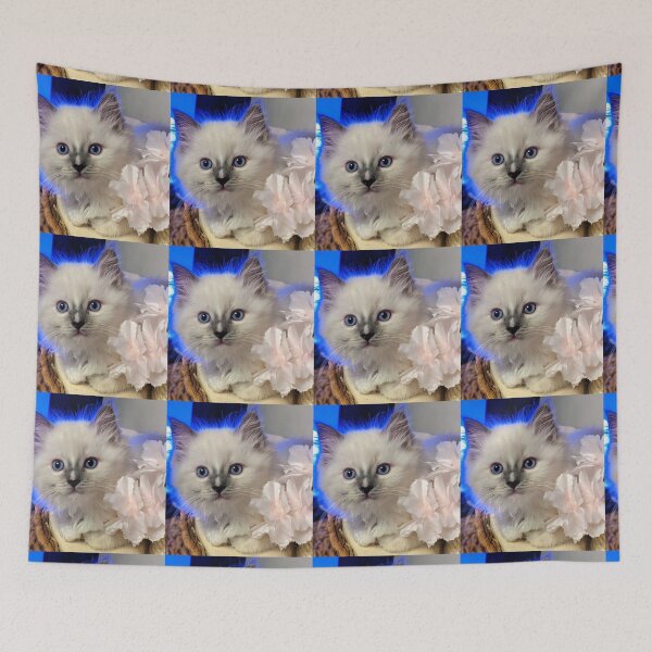 Item preview, Ragdoll kitten designed and sold by Fluffycat2020.