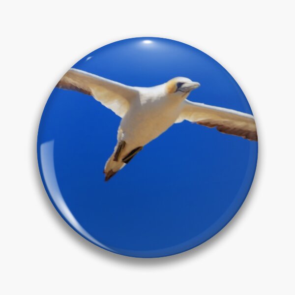 Item preview, Australasian Gannet in flight#1 designed and sold by DVart-nz.