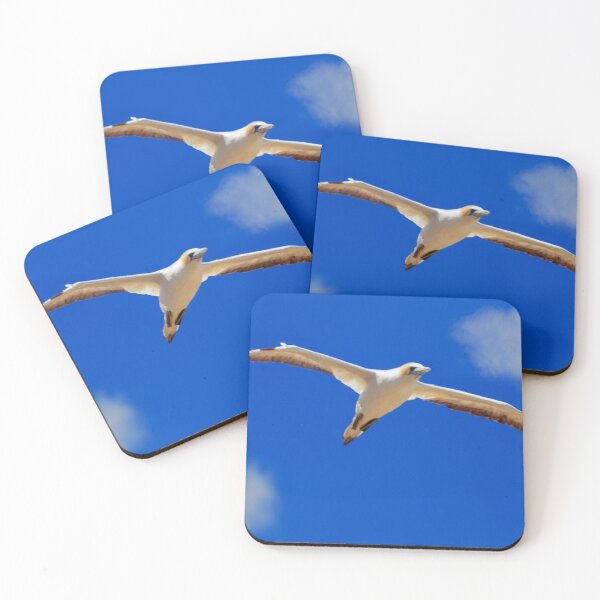 Item preview, Australasian Gannet in flight#1 designed and sold by DVart-nz.