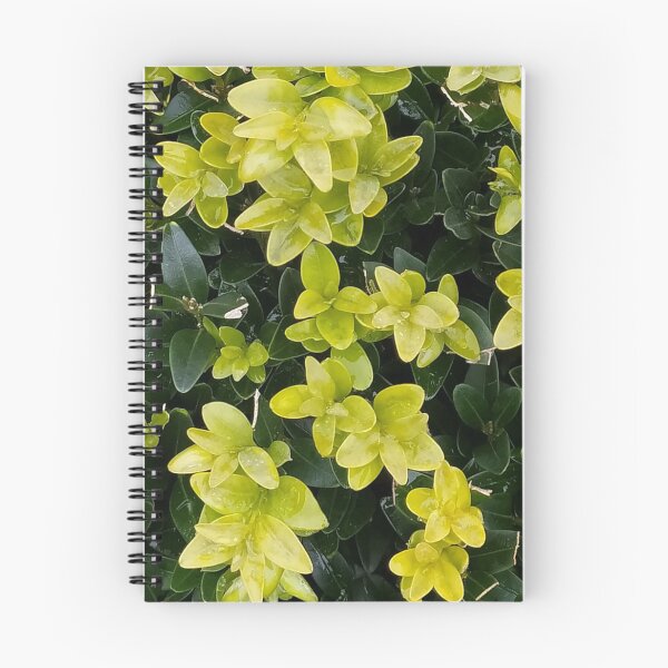 Item preview, young leaves designed and sold by Valentina-V.