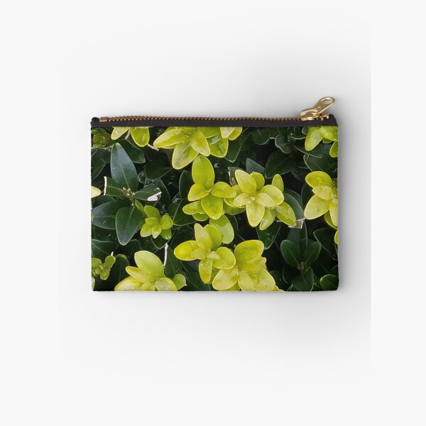Item preview, young leaves designed and sold by Valentina-V.