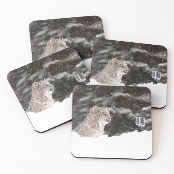 Item preview, Canada Lynx Kitten Selfie designed and sold by mlorenz.