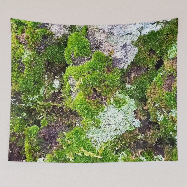 Item preview, moss and lichen designed and sold by Valentina-V.