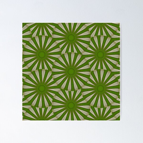 Lime green spiral pattern Poster