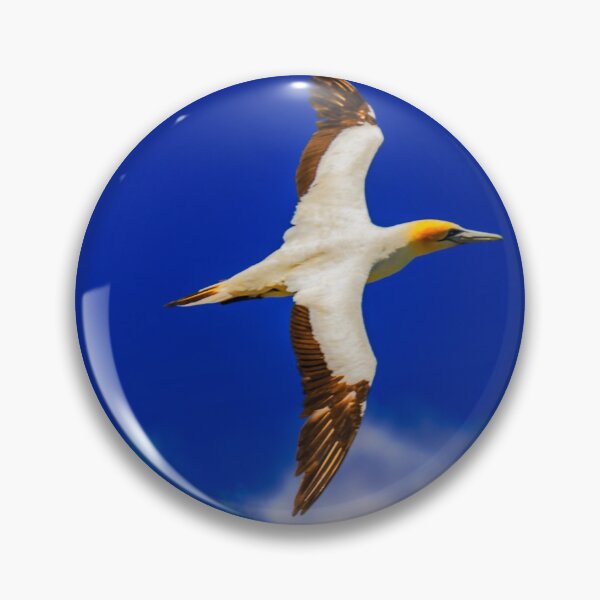 Item preview, Australasian Gannet in flight #2 designed and sold by DVart-nz.