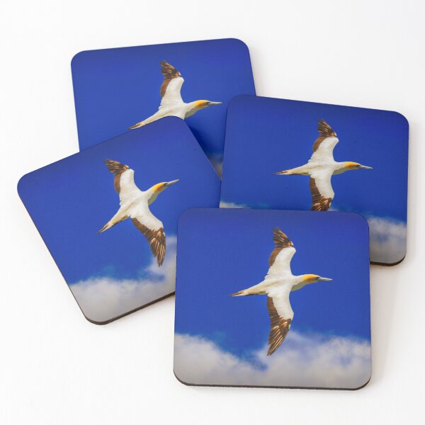 Item preview, Australasian Gannet in flight #2 designed and sold by DVart-nz.