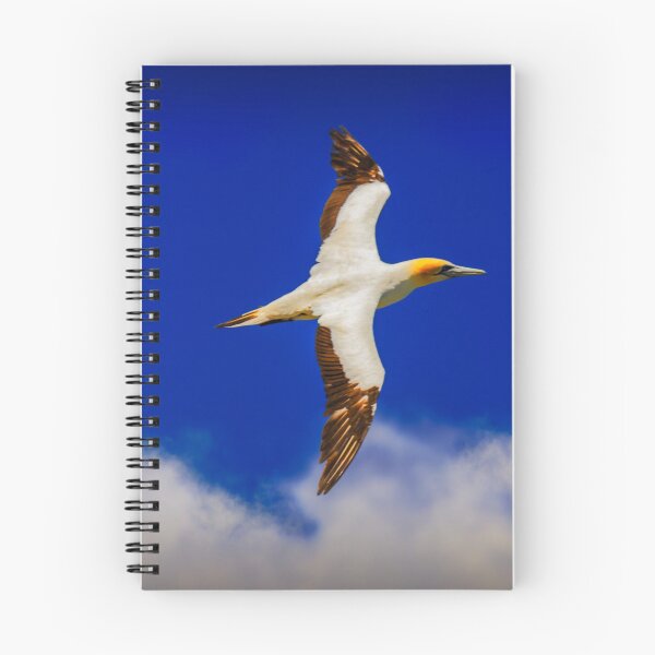 Item preview, Australasian Gannet in flight #2 designed and sold by DVart-nz.