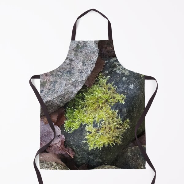 Item preview, stones with a moss and lichen designed and sold by Valentina-V.
