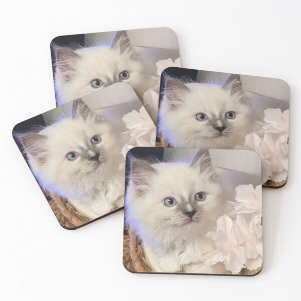 Item preview, Ragdoll kitten designed and sold by Fluffycat2020.