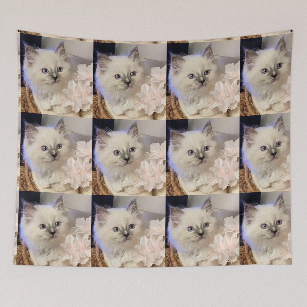 Item preview, Ragdoll kitten designed and sold by Fluffycat2020.