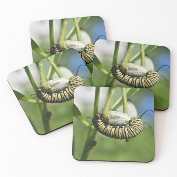Item preview, Monarch Caterpillar designed and sold by Theophanes Avery.