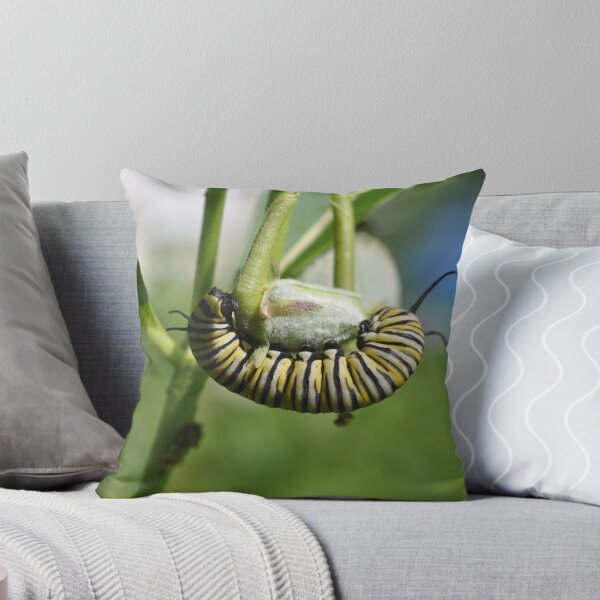 Item preview, Monarch Caterpillar designed and sold by Theophanes Avery.